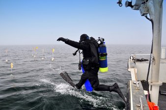 Immersioni in subacquea